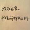 高清视频免费